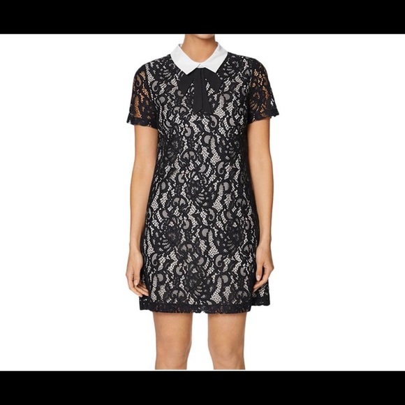 Betsey Johnson Collared Lace Shift Dress - Picture 3 of 9